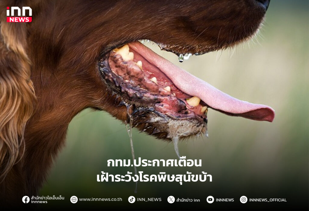 โรคพิษสุนัขบ้า