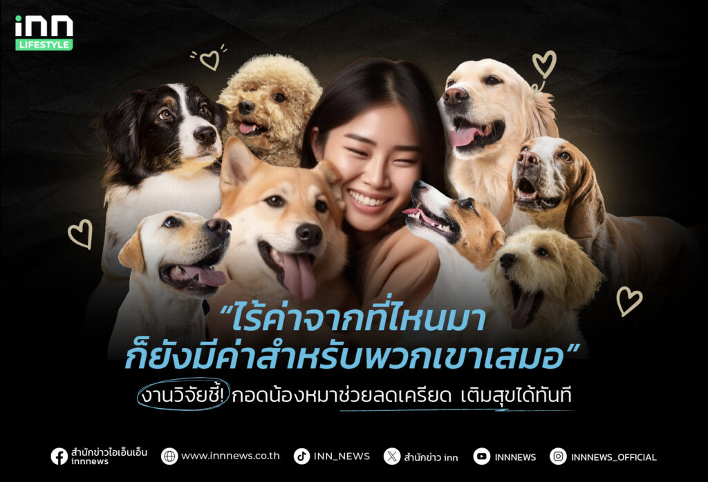 หมาช่วยคลายเครียด