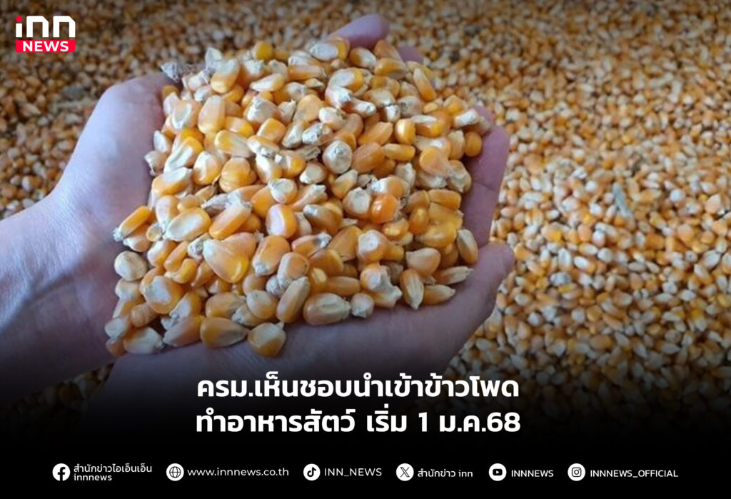 ครม.เห็นชอบนำเข้าข้าวโพดทำอาหารสัตว์ เริ่ม 1 ม.ค.68