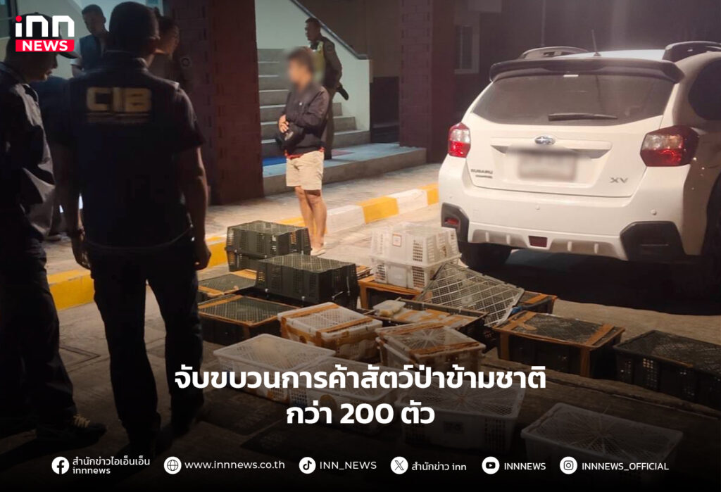 ค้าสัตว์ป่าข้ามชาติ
