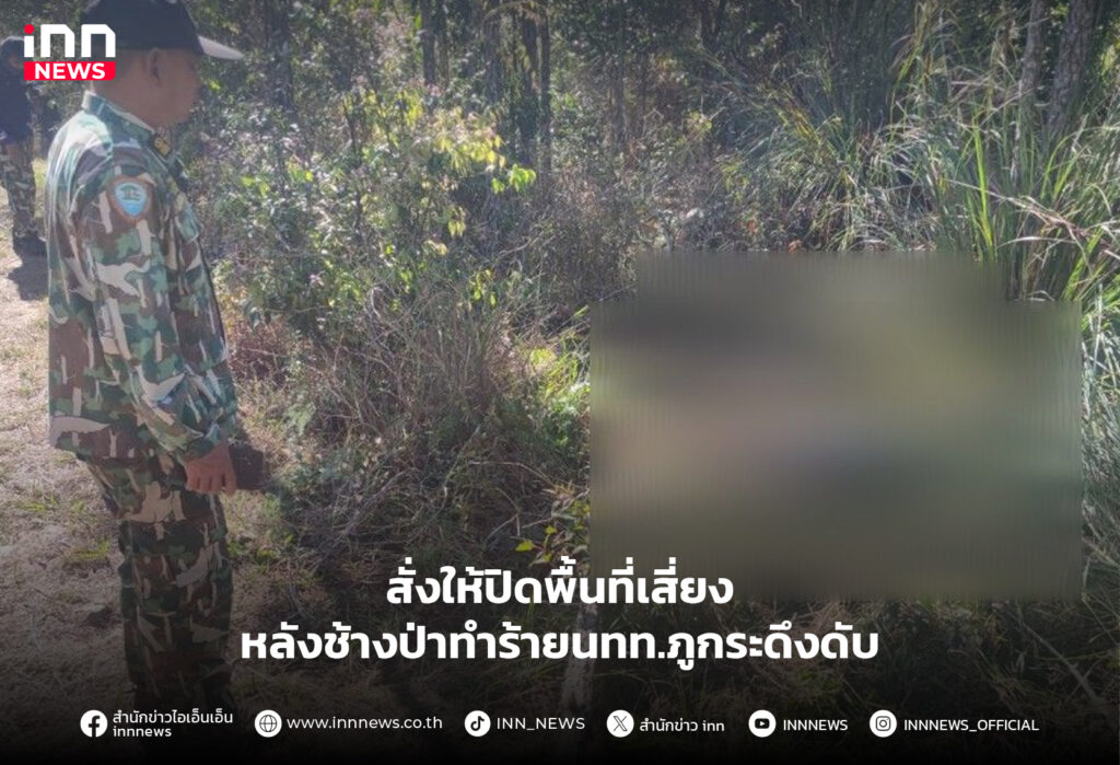 ช้างป่าทำร้าย