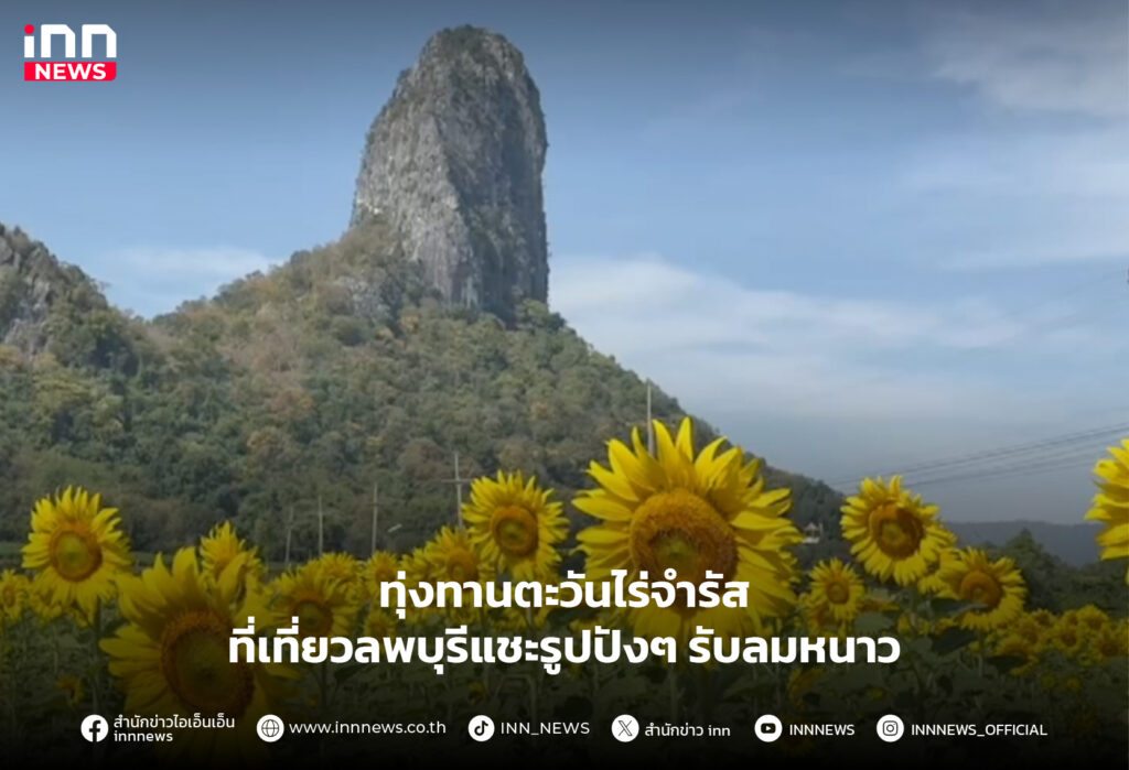ทุ่งทานตะวันไร่จำรัส