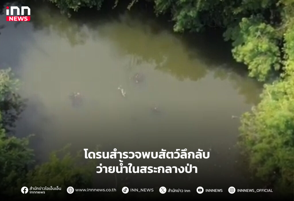 สัตว์ลึกลับ