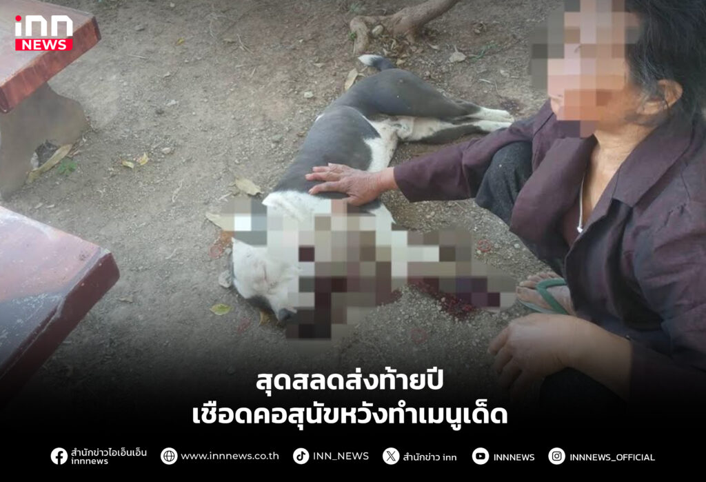 สุดสลดส่งท้ายปีเชือดคอสุนัขหวังทำเมนูเด็ด