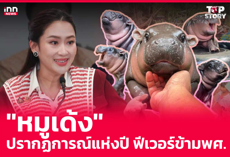 "หมูเด้ง" ปรากฏการณ์แห่งปี ฟีเวอร์ข้ามพศ.