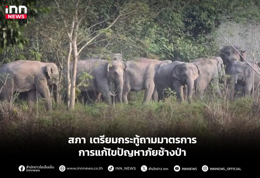 สภา เตรียมกระทู้ถามมาตรการการแก้ไขปัญหาภัยช้างป่า