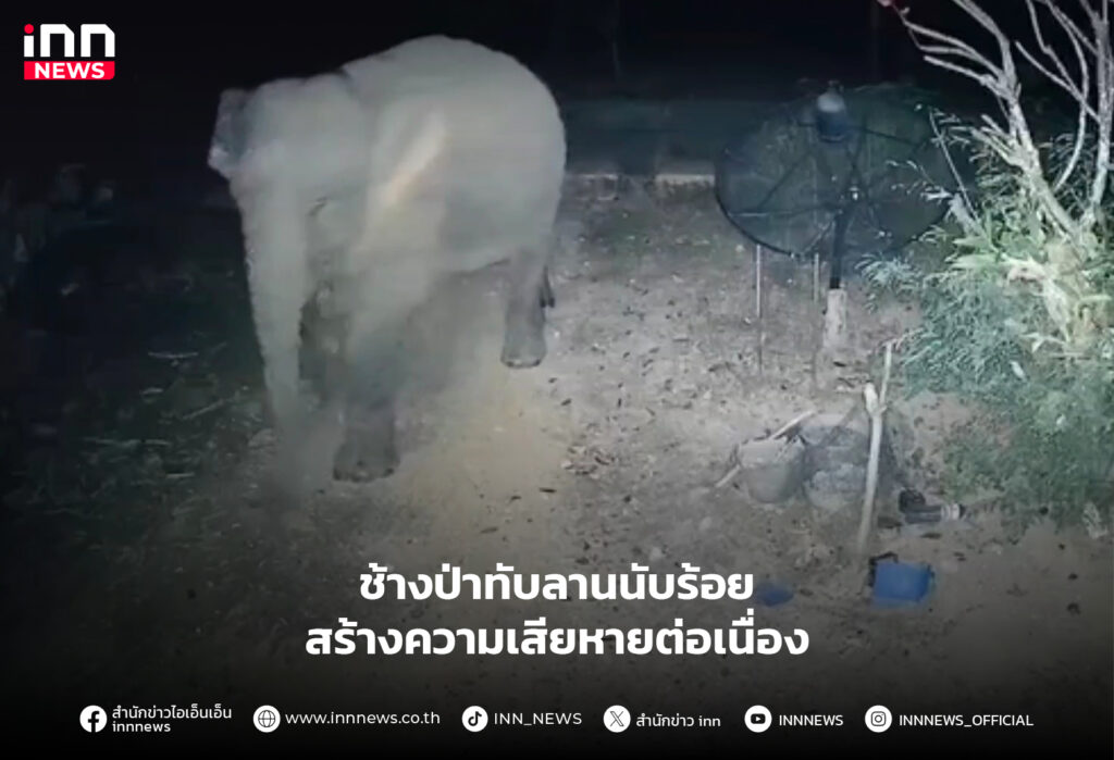 ช้างป่าทับลาน