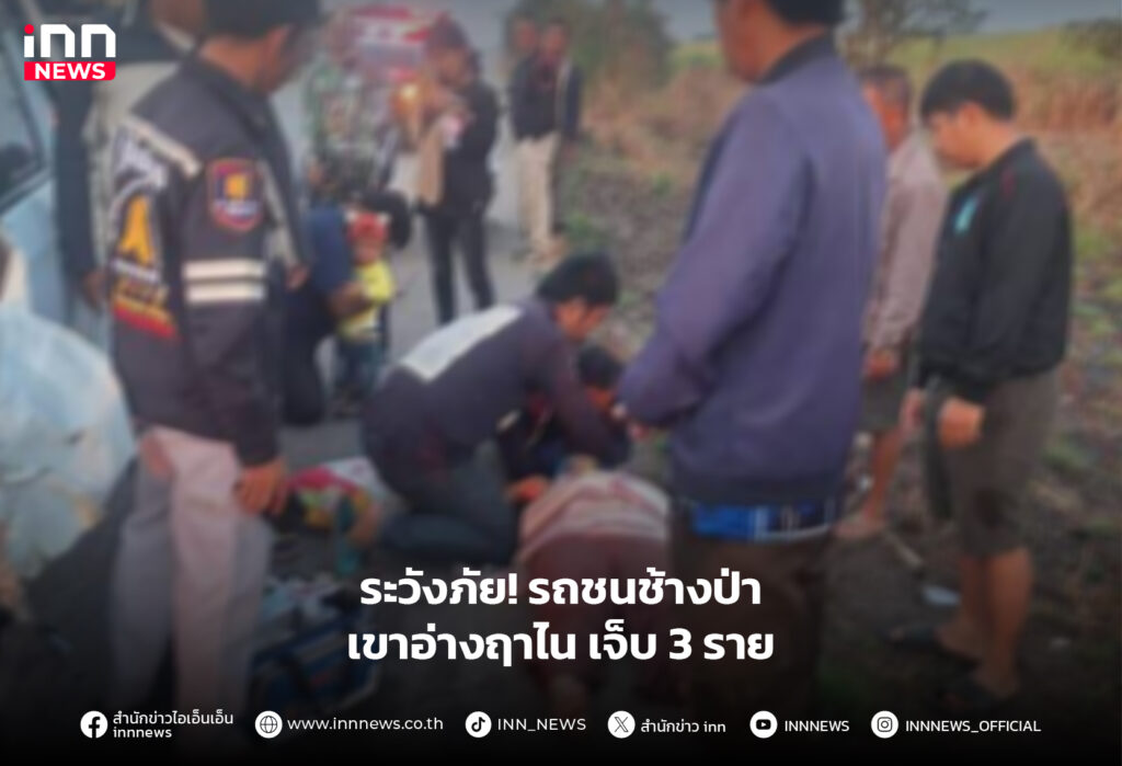 ช้างป่าเขาอ่างฤาไน