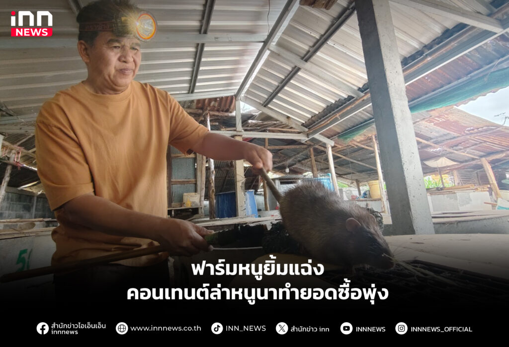 ฟาร์มหนูยิ้มแฉ่ง คอนเทนต์ล่าหนูนาทำยอดซื้อพุ่ง