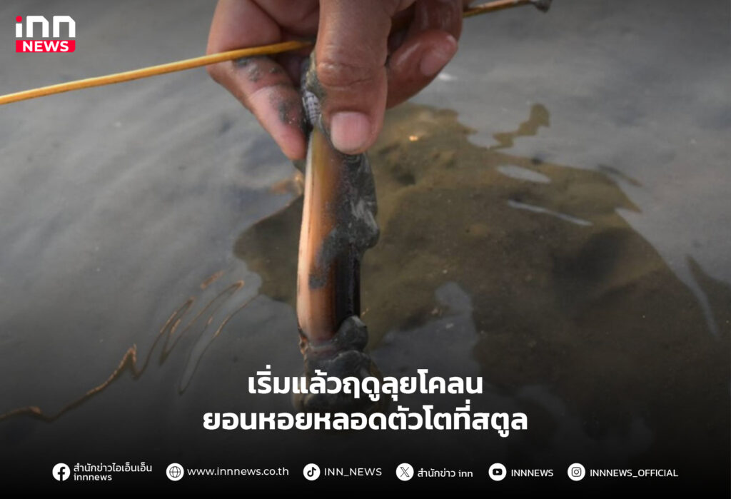 ยอนหอยหลอด