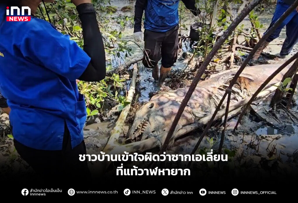 ชาวบ้านเข้าใจผิดว่าซากเอเลี่ยนที่แท้วาฬหายาก