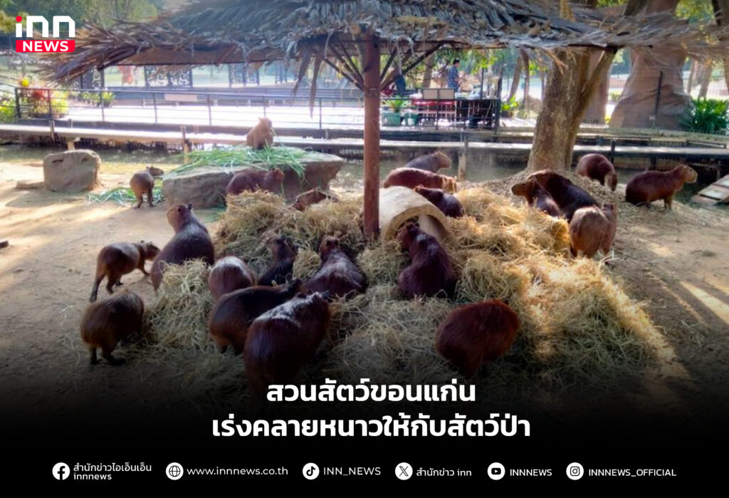 สวนสัตว์ขอนแก่น เร่งคลายหนาวให้กับสัตว์ป่า