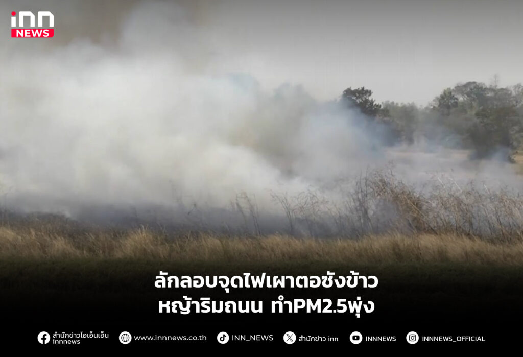ลักลอบจุดไฟเผาตอซังข้าว-หญ้าริมถนน ทำPM2.5พุ่ง