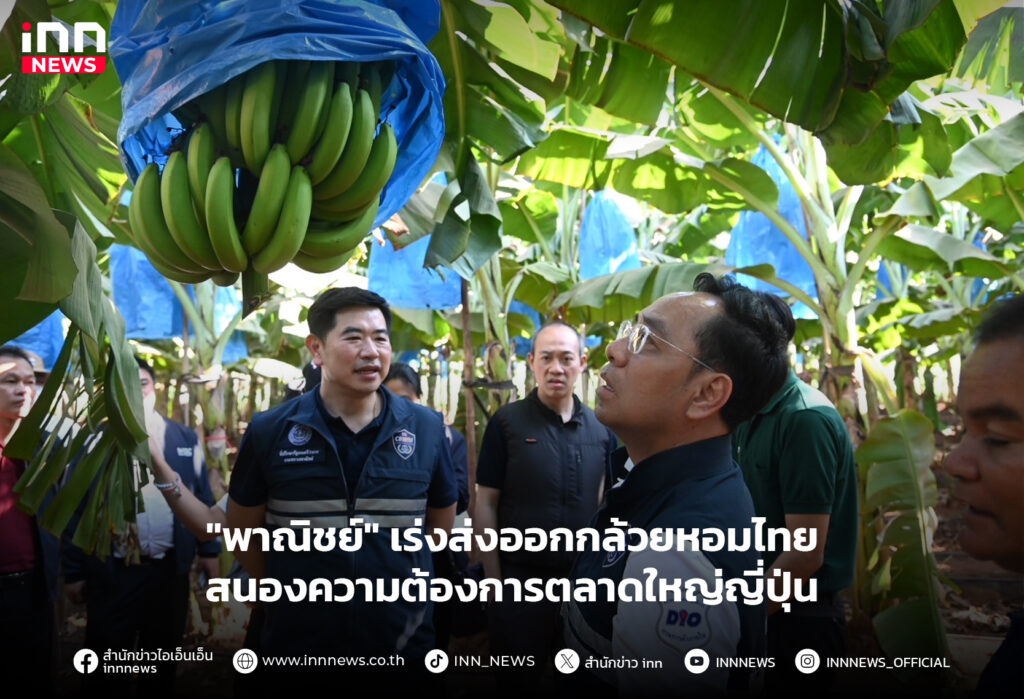 กล้วยหอมไทย