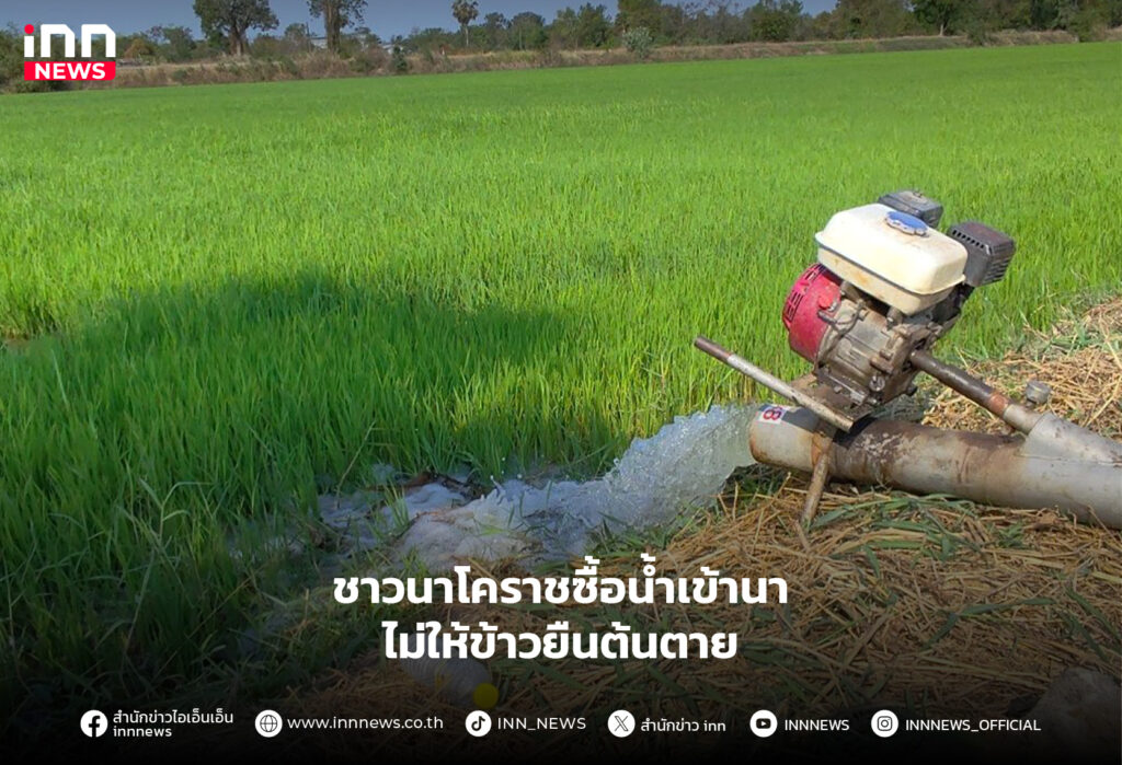 ชาวนาโคราชซื้อน้ำเข้านา
