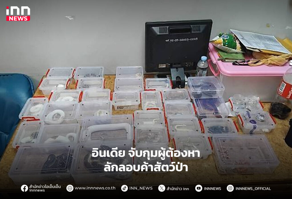 ลักลอบค้าสัตว์ป่า
