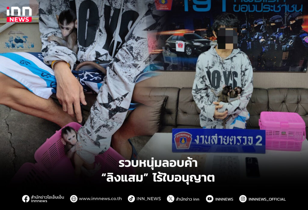 รวบหนุ่มลอบค้า “ลิงแสม” ไร้ใบอนุญาต
