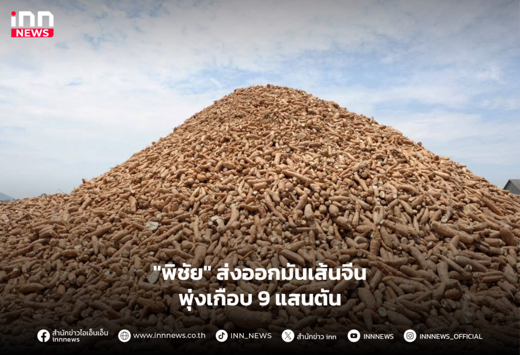 ส่งออกมันเส้นจีน