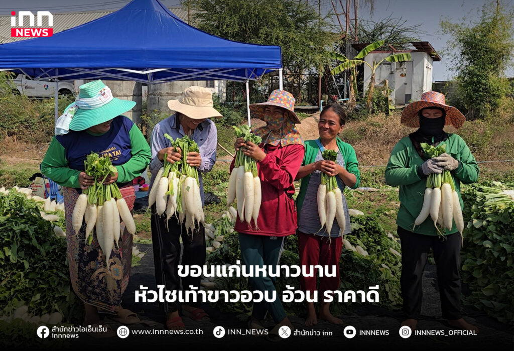 หัวไชเท้า