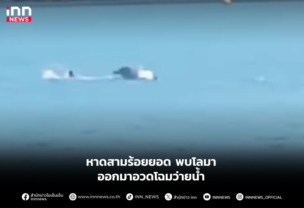 หาดสามร้อยยอด พบโลมาออกมาอวดโฉมว่ายน้ำ