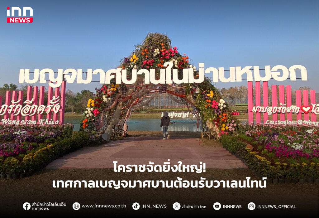 เทศกาลเบญจมาศบาน