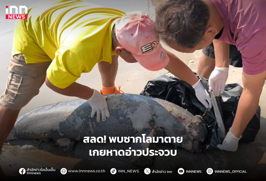 โลมาตาย