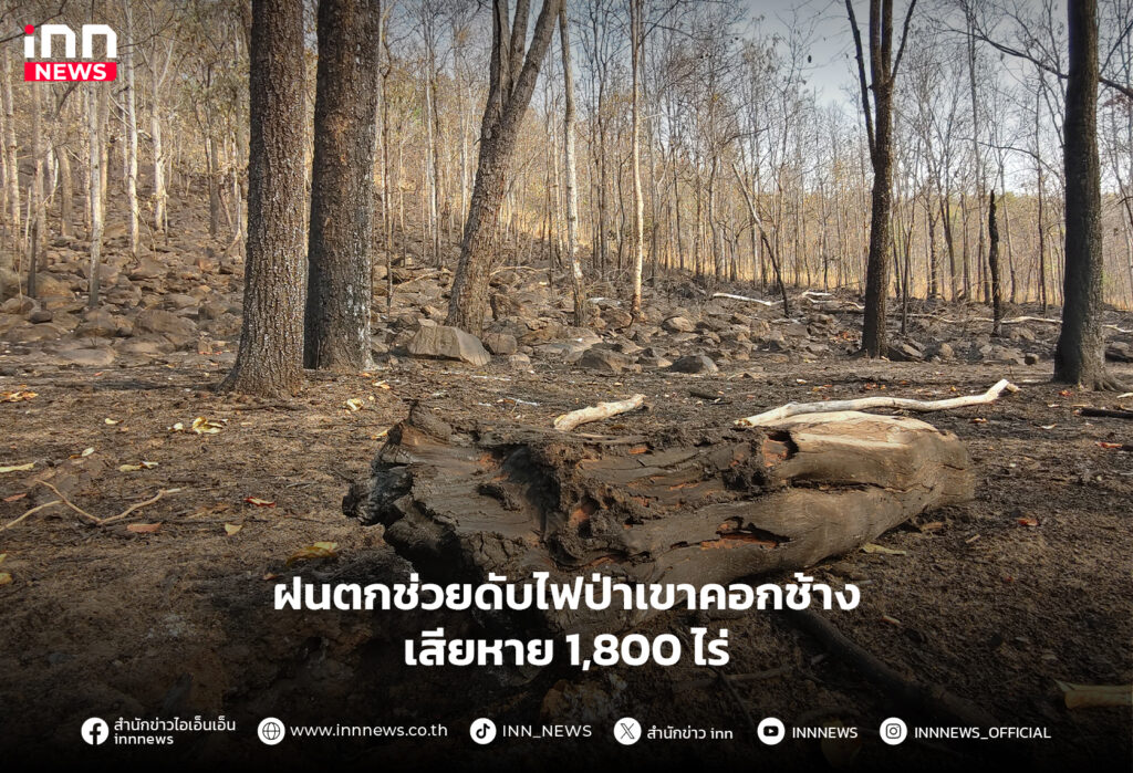 ไฟป่าเขาคอกช้าง