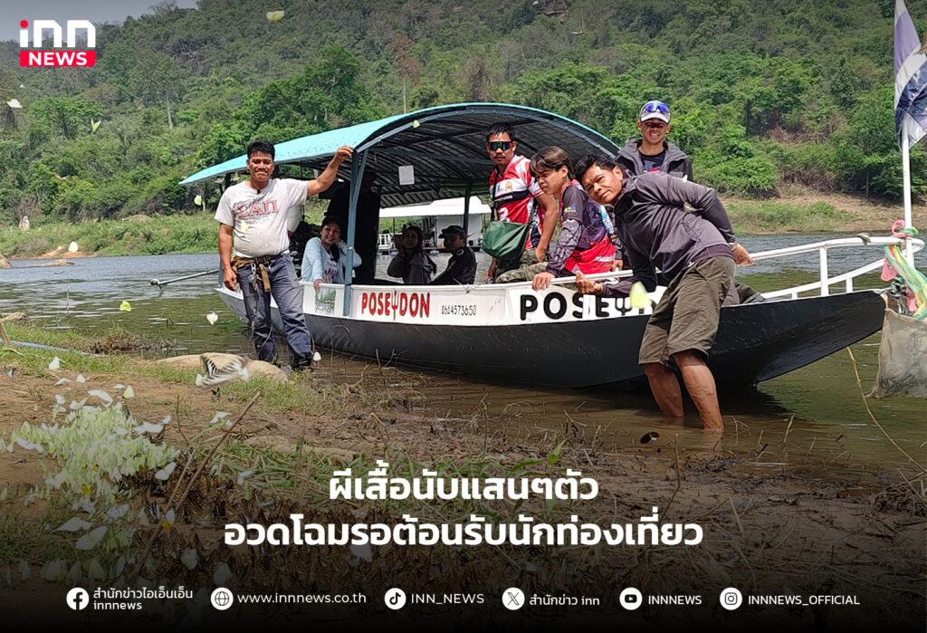 ผีเสื้อนับแสน