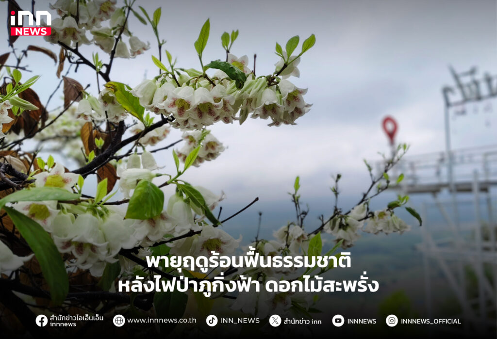 ภูกิ่งฟ้า