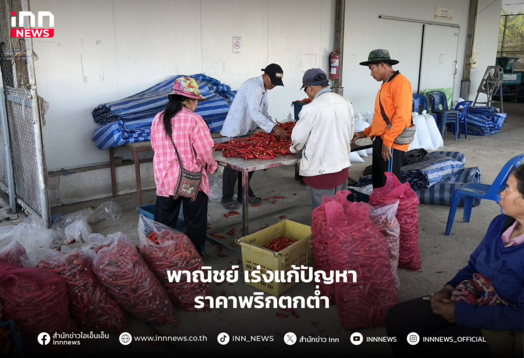 ราคาพริกตกต่ำ