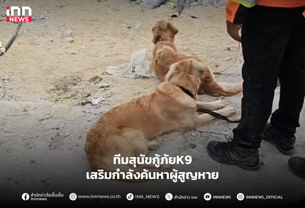 สุนัขกู้ภัยK9