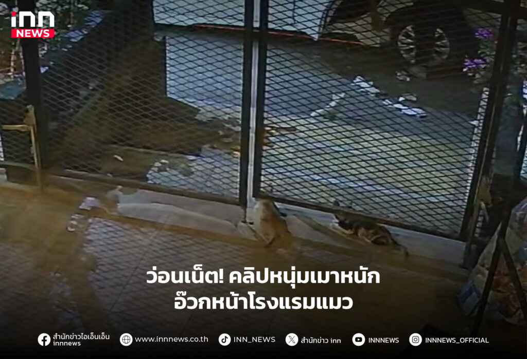 เมาหนักอ๊วกหน้าโรงแรมแมว