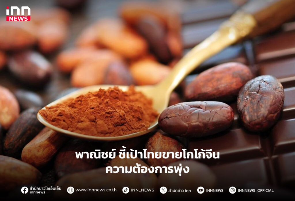 โกโก้จีน