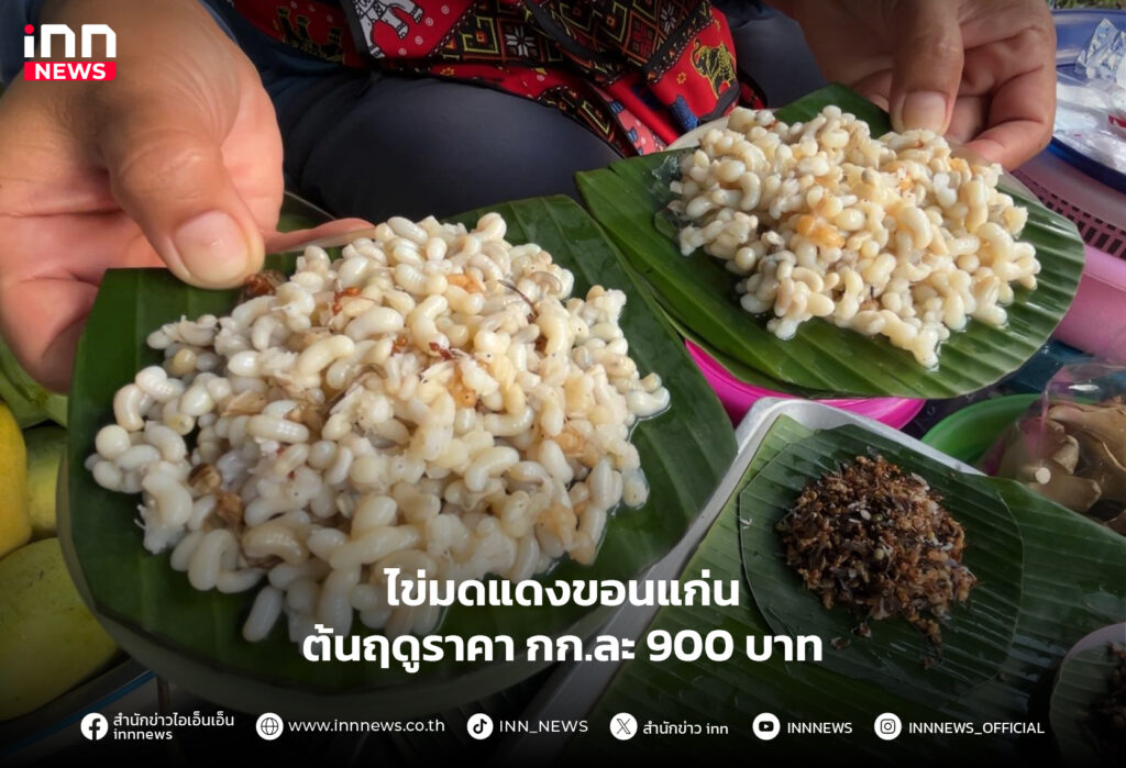 ไข่มดแดงขอนแก่น