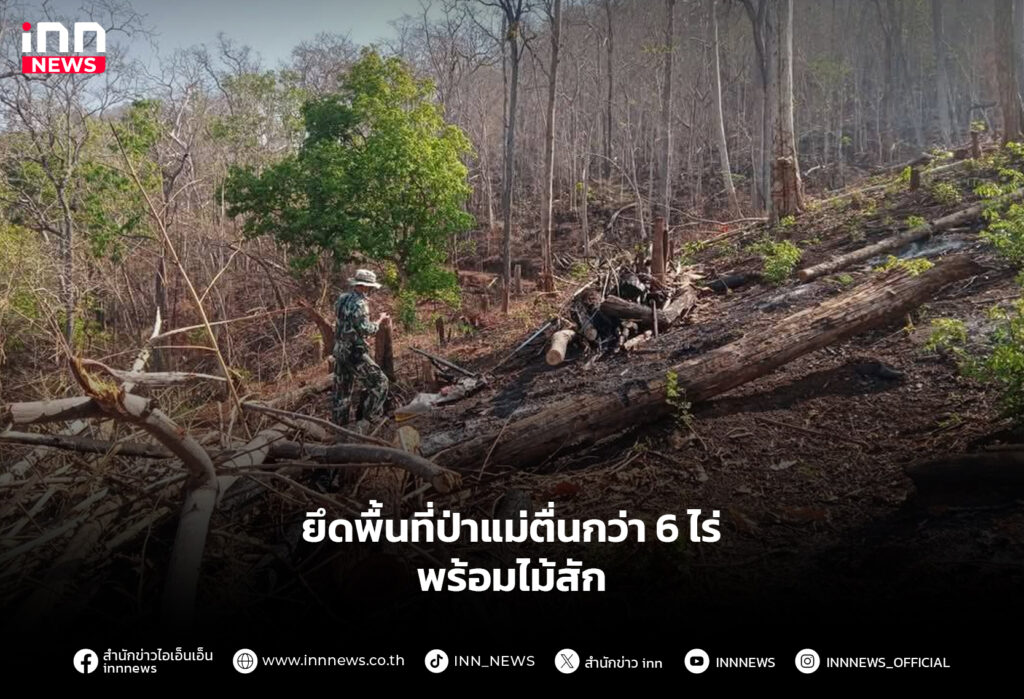 ป่าแม่ตื่น