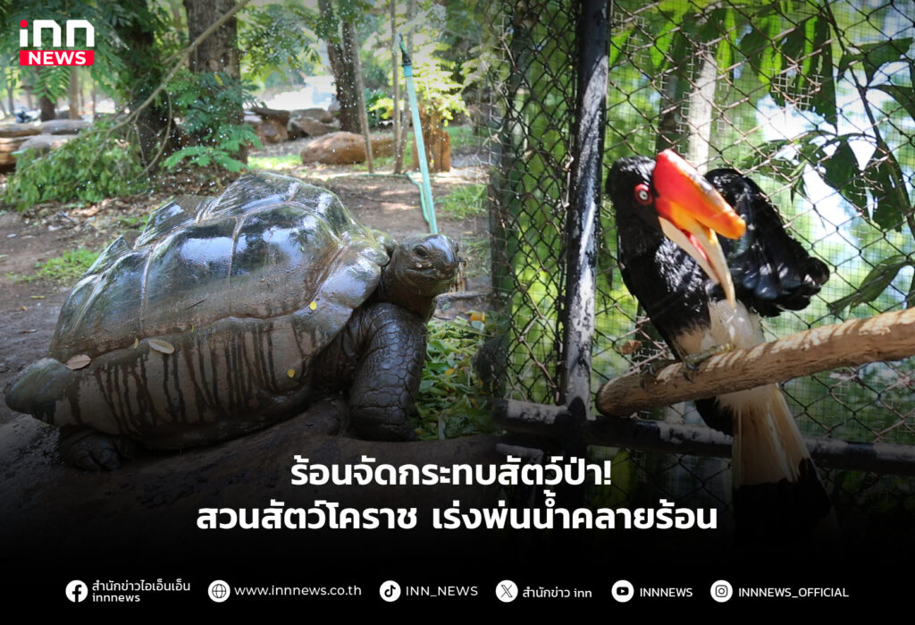 สัตว์ป่า