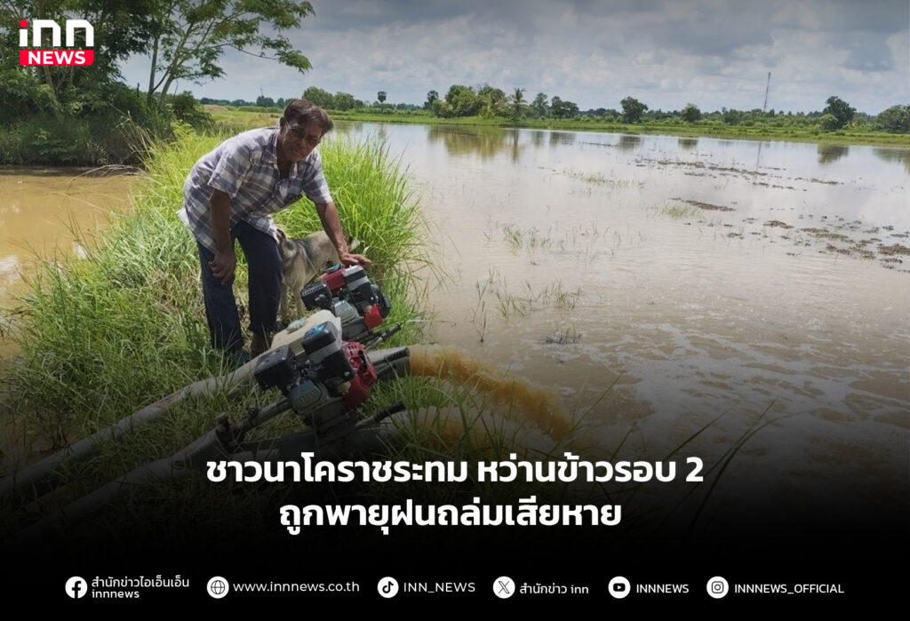 ชาวนาโคราชระทม หว่านข้าวรอบ2 ถูกพายุฝนถล่มเสียหาย