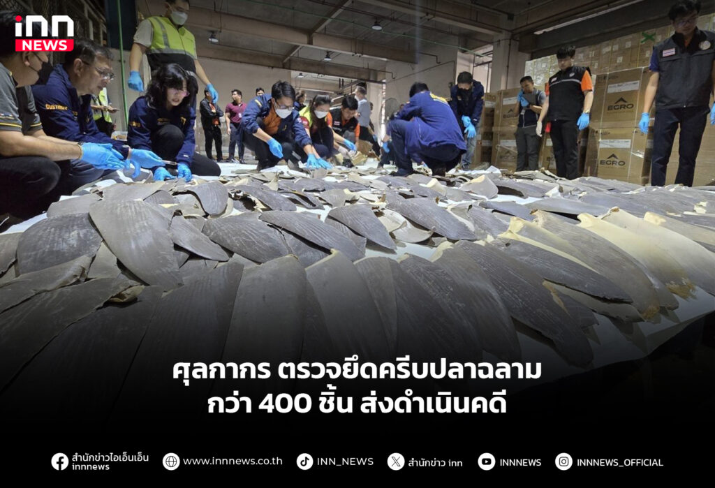 ปลาฉลาม