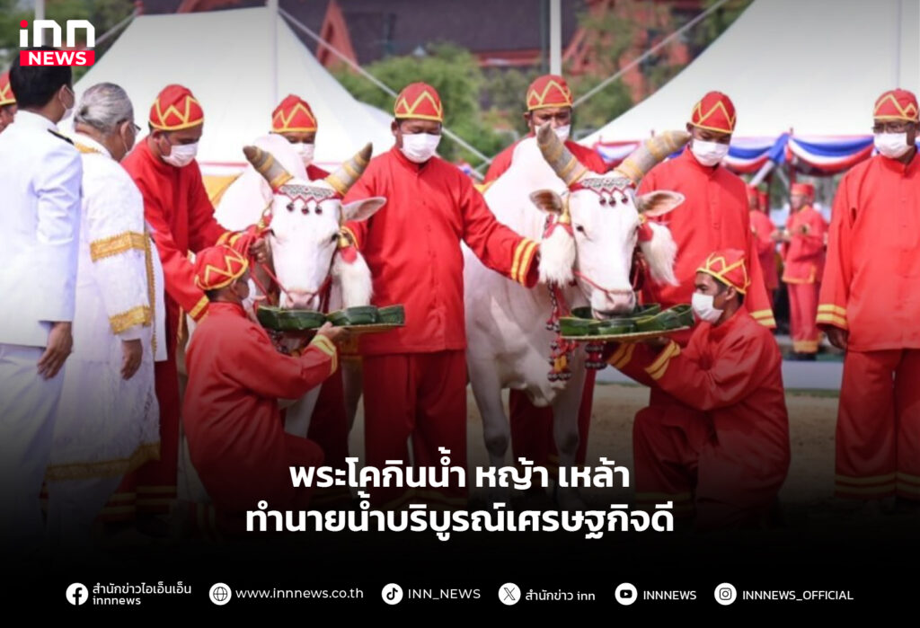 พระโคกินอะไร