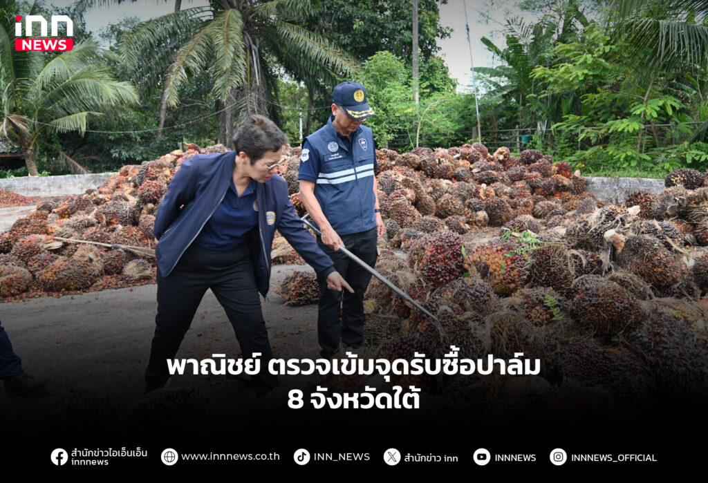 พาณิชย์-ตรวจเข้มจุดรับซื้อปาล์ม-8-จังหวัดใต้