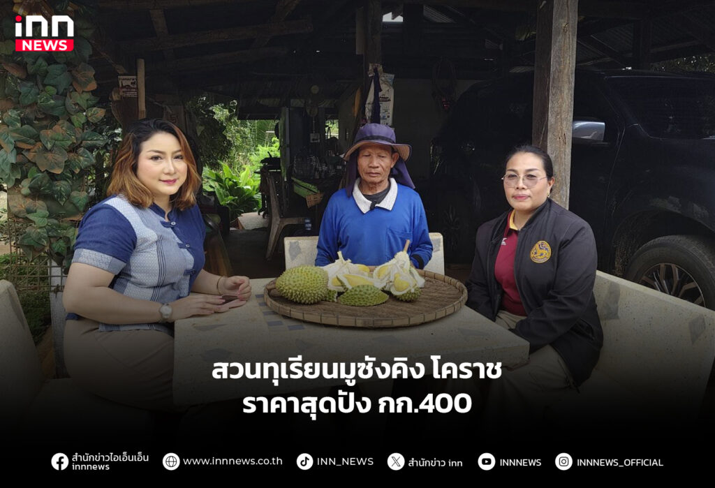 สวนทุเรียนมูซังคิง โคราช ราคาสุดปัง กก.400