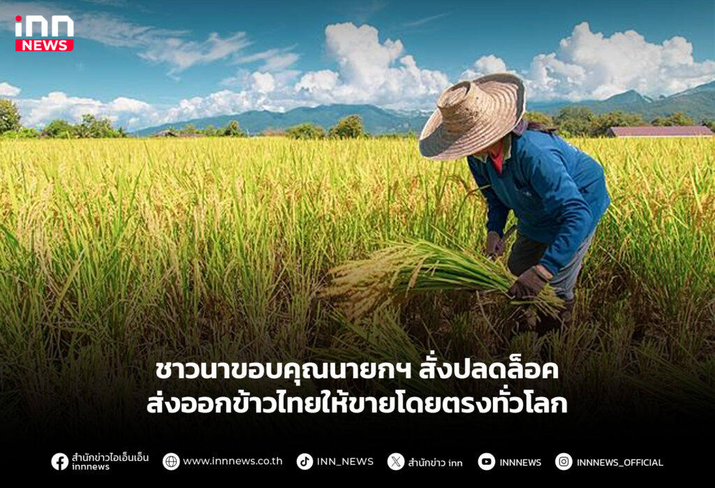 ส่งออกข้าวไทย