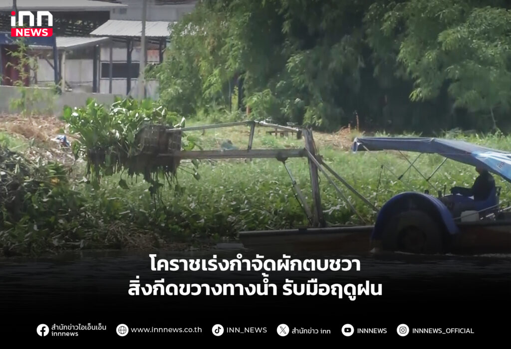 โคราชเร่งกำจัดผักตบชวา