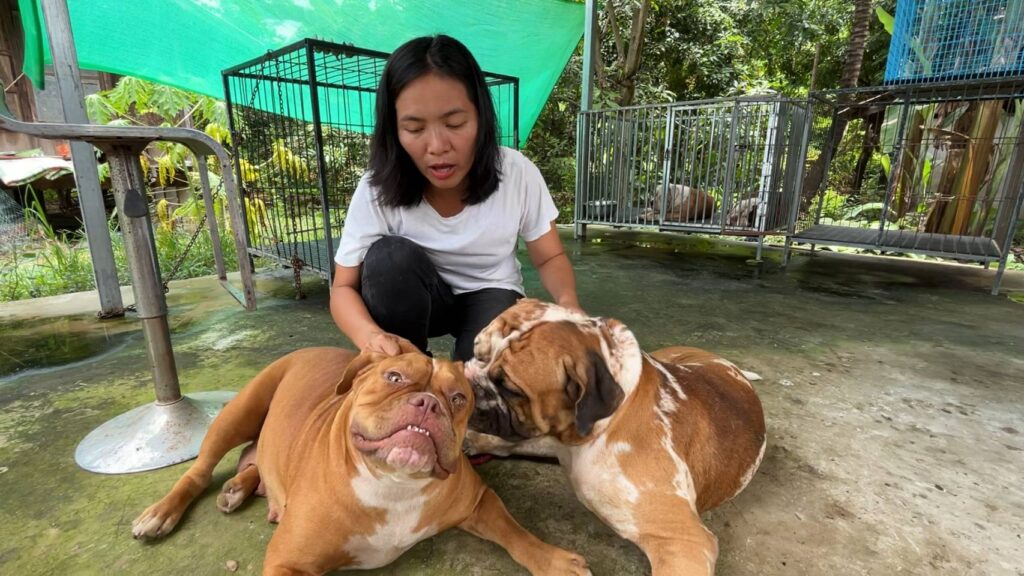 ขอนแก่นเปิดฟาร์มหมา สู้วิกฤติอ.ส.ค.ค้างจ่าย-ทำรายได้นับแสน