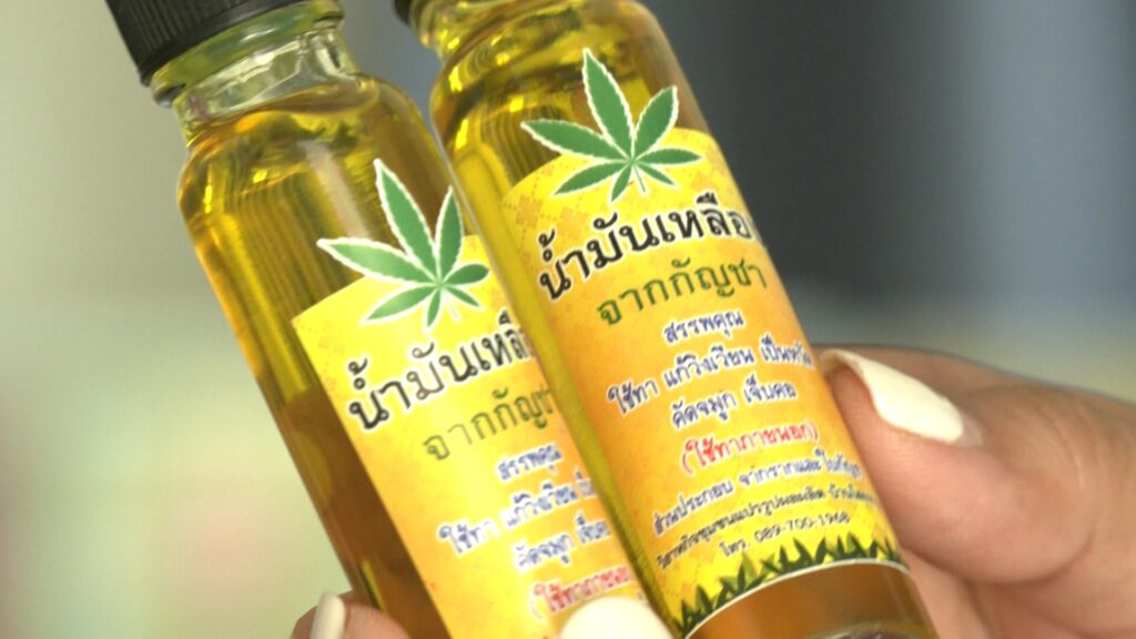 เกษตรกรขอนแก่นชะลอปลูกกัญชา - รอความชัดเจน