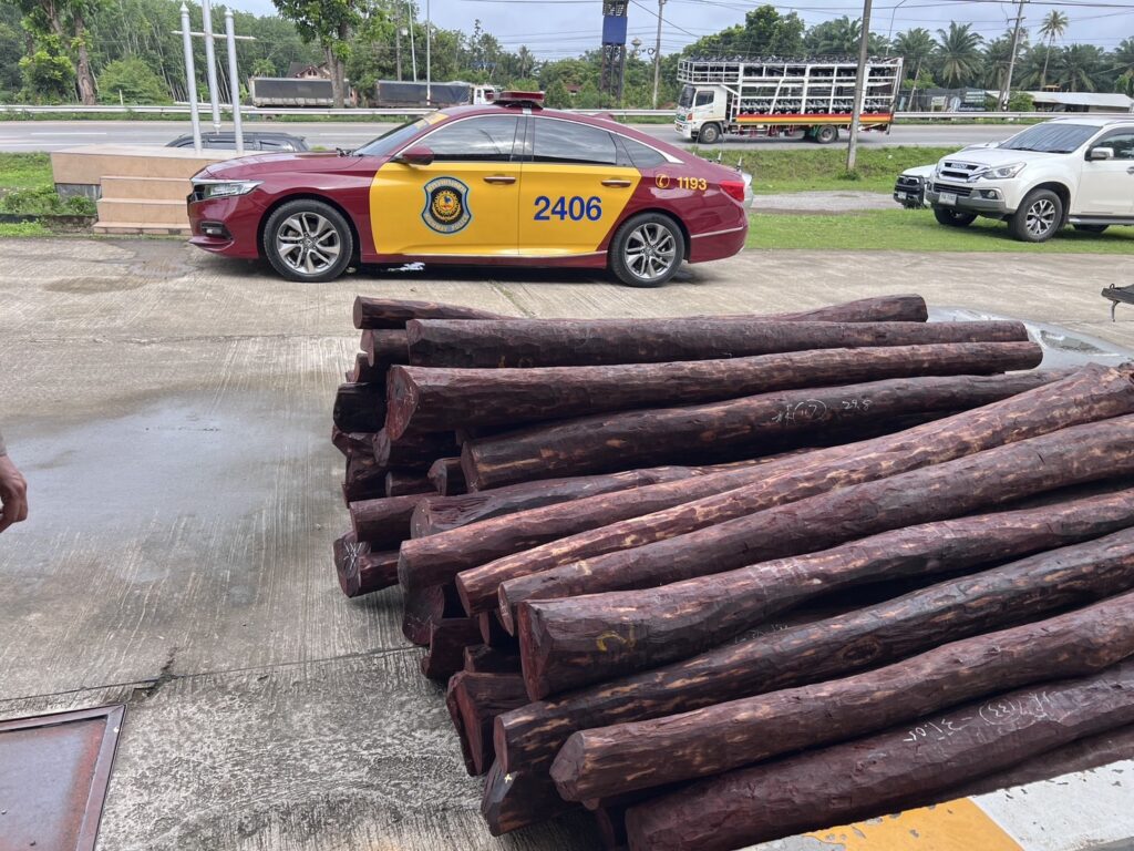 รวบ แก๊งลักลอบขนไม้พะยูง 73 ท่อน เตรียมส่งขายพ่อค้าชาวจีน