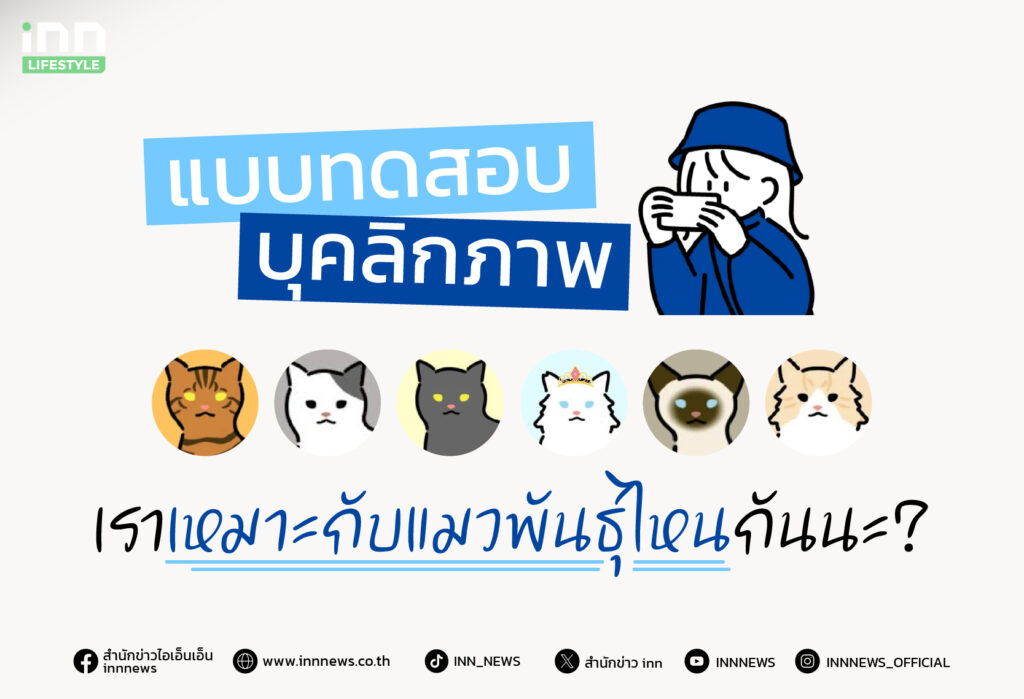 แบบทดสอบบุคลิกภาพ เราเหมาะกับแมวพันธุ์ไหนกันนะ?