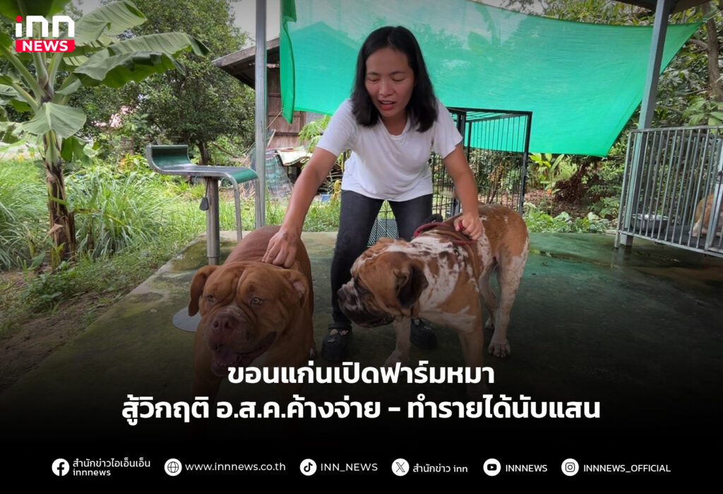 ขอนแก่นเปิดฟาร์มหมา สู้วิกฤติอ.ส.ค.ค้างจ่าย-ทำรายได้นับแสน