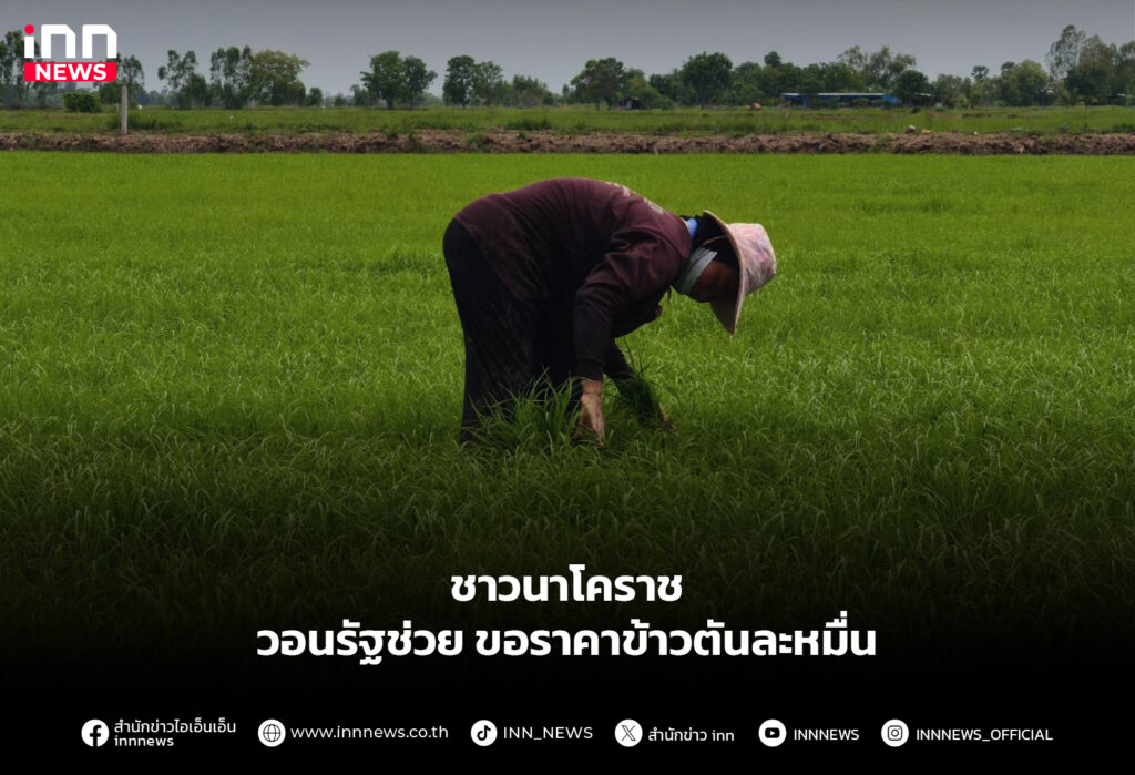 ชาวนาโคราช วอนรัฐช่วย ขอราคาข้าวตันละหมื่น