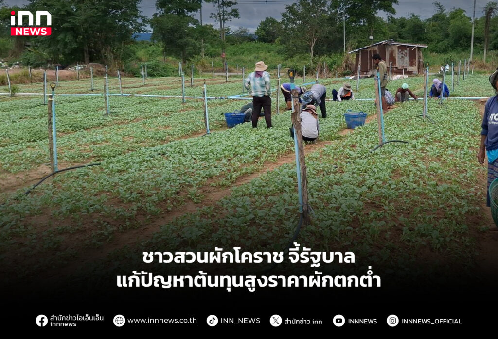 ชาวสวนผักโคราช จี้รัฐบาล แก้ปัญหาต้นทุนสูงราคาผักตกต่ำ